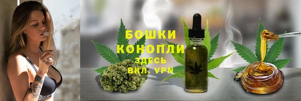 экстази Богданович