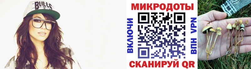 Псилоцибиновые грибы Psilocybe  Белокуриха 