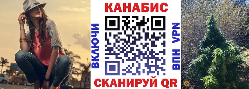 Конопля индика Белокуриха